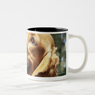 Close-up of an apple in front of a dog Two-Tone coffee mug