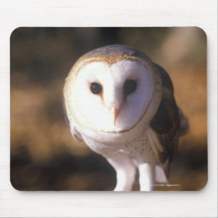 'Close-up of Barn Owl, Land Between Lakes, KY' Mouse Mat