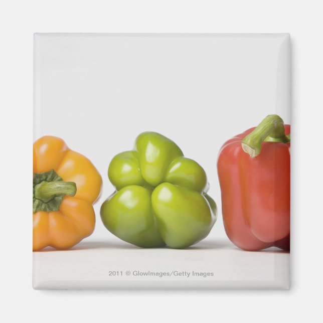 Close-up of bell peppers in a row magnet (Front)