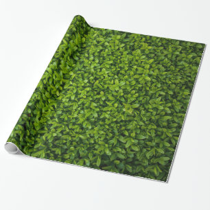 Close Up of Bright Green Hedge Wrapping Paper