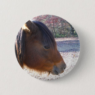 Close up of Brown horse, Little Brown Pony 6 Cm Round Badge