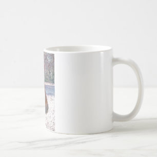 Close up of Brown horse, Little Brown Pony Coffee Mug