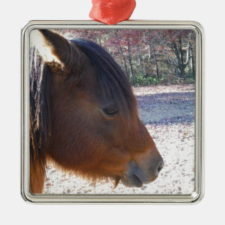 Close up of Brown horse, Little Brown Pony Metal Tree Decoration