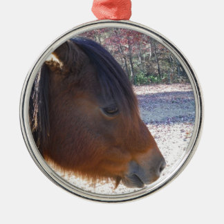 Close up of Brown horse, Little Brown Pony Metal Tree Decoration