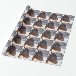 Close up of Brown horse, Little Brown Pony Wrapping Paper