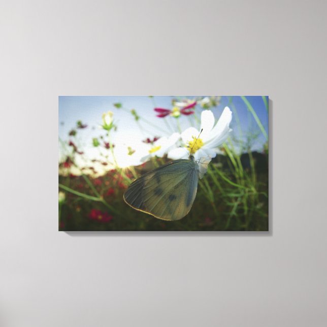 Close-up of butterfly on flower canvas print (Front)