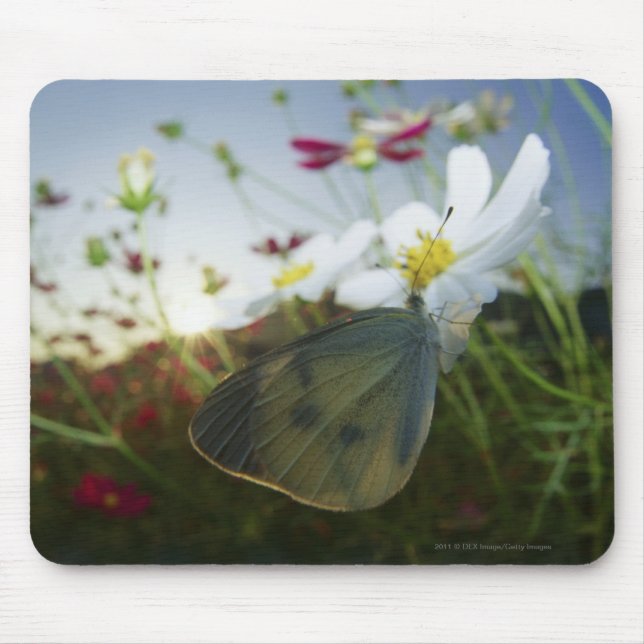 Close-up of butterfly on flower mouse mat (Front)