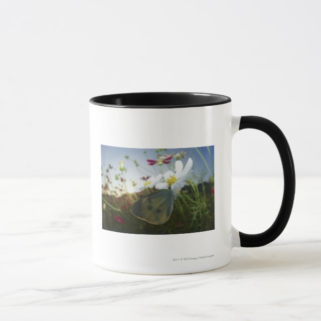 Close-up of butterfly on flower mug (Right)