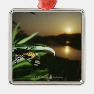 Close-up of Butterfly on leaf at sunset Metal Tree Decoration