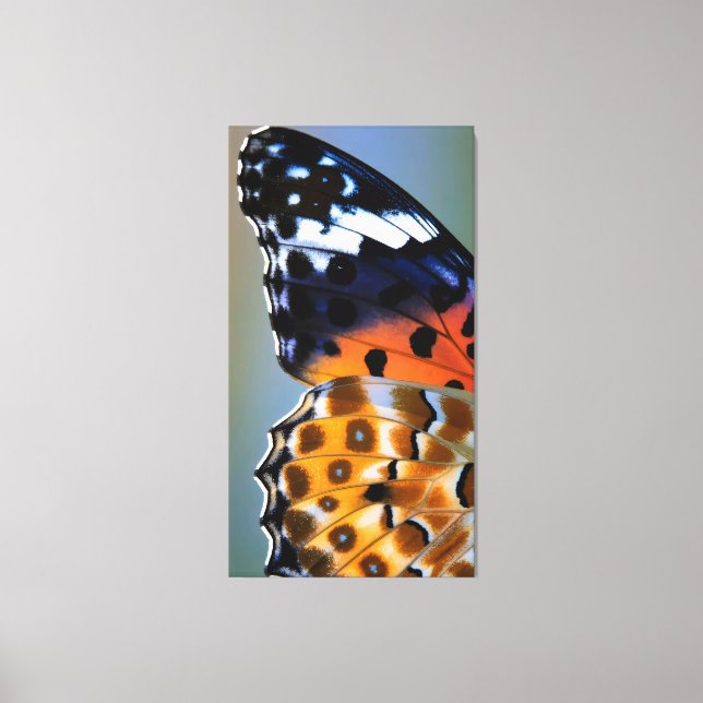 Close up of butterfly wings canvas print (Front)