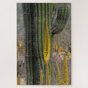 Close Up Of Cactus And Agave Jigsaw Puzzle