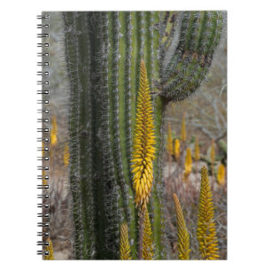 Close Up Of Cactus And Agave Notebook