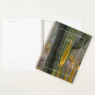 Close Up Of Cactus And Agave Planner
