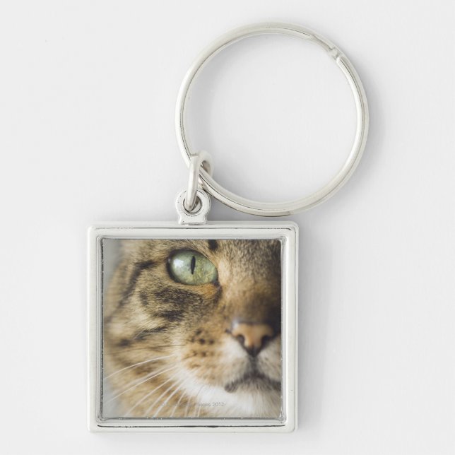 Close-up of cat (focus on eye) key ring (Front)