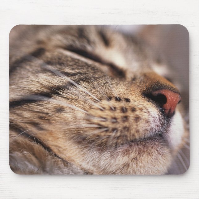 Close-up of cat whiskers and muzzle mouse mat (Front)
