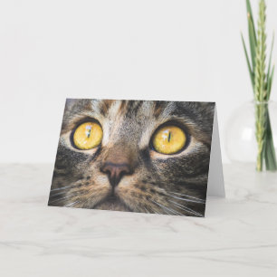 Close-up of Cat with Yellow Eyes Card