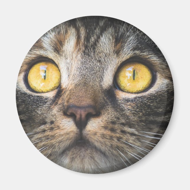 Close-up of Cat with Yellow Eyes Magnet (Front)