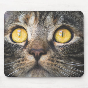 Close-up of Cat with Yellow Eyes Mouse Mat