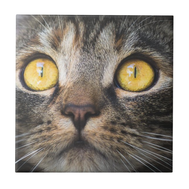 Close-up of Cat with Yellow Eyes Tile (Front)