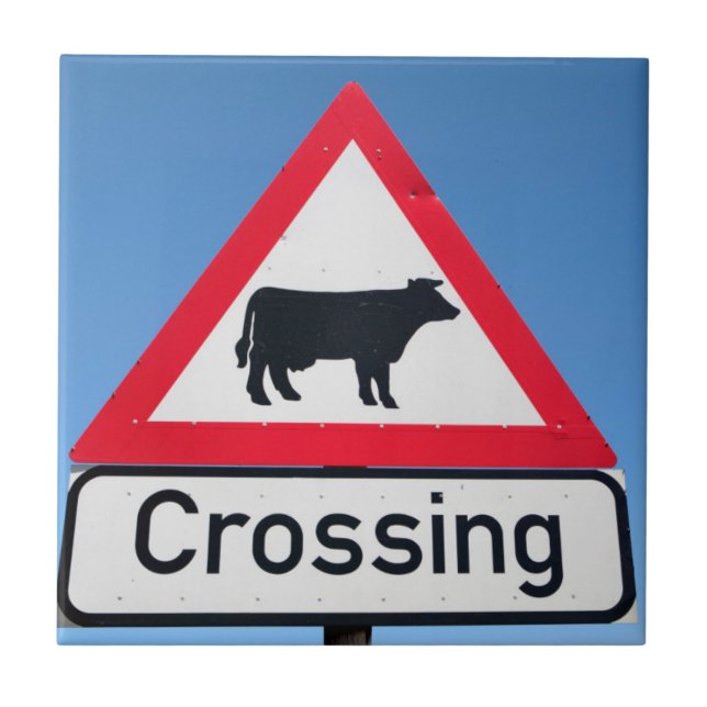 Close-Up Of Cattle Crossing Sign. Western Cape Tile (Front)