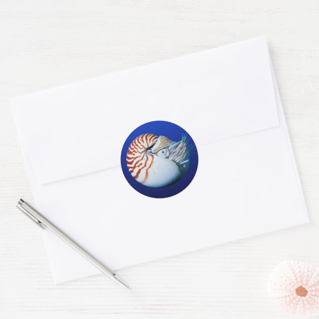 Close-Up Of Chambered Nautilus Classic Round Sticker (Envelope)