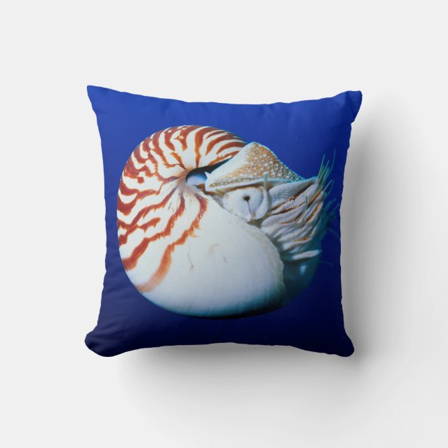 Close-Up Of Chambered Nautilus Cushion (Front)