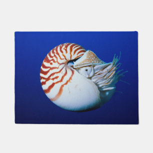 Close-Up Of Chambered Nautilus Doormat