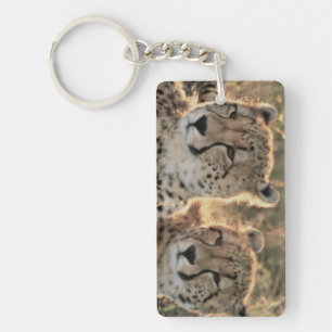 Close-up of Cheetahs Key Ring