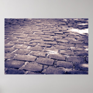 Close Up Of Cobblestone Street Poster