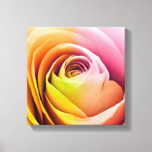 Close up of Colourful Rose Petals Canvas Print