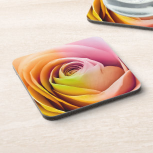 Close up of Colourful Rose Petals Coaster