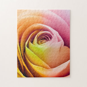 Close up of Colourful Rose Petals Jigsaw Puzzle