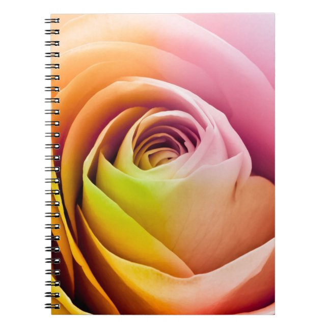Close up of Colourful Rose Petals Notebook (Front)