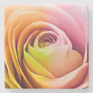 Close up of Colourful Rose Petals Stone Coaster