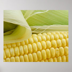 Close up of corn poster