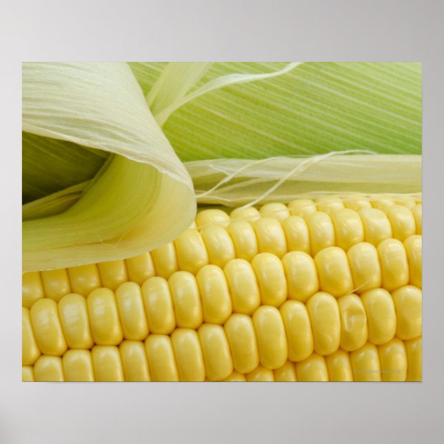 Close up of corn poster (Front)