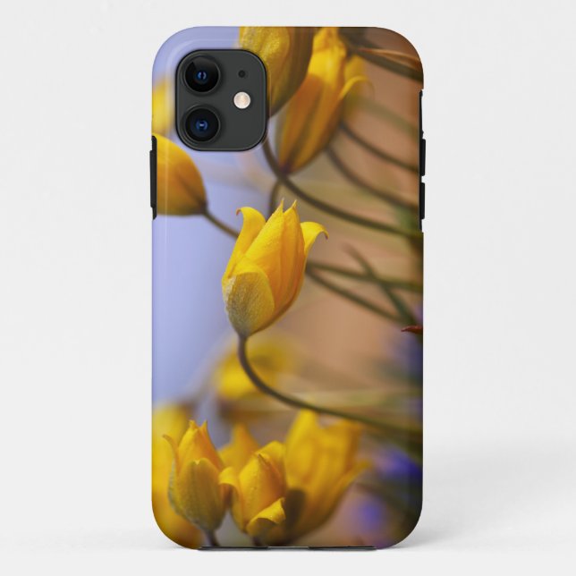 Close-up of daffodils Case-Mate iPhone case (Back)