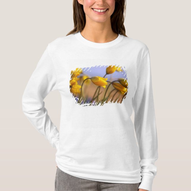 Close-up of daffodils T-Shirt (Front)