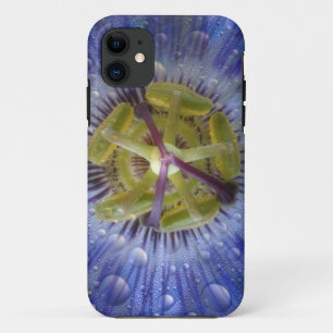 Close-up of dewy passion flower. Credit as: Don iPhone 11 Case
