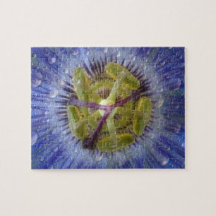 Close-up of dewy passion flower. Credit as: Don Jigsaw Puzzle