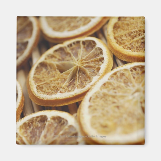 Close-up of dried slices of lemon magnet (Front)