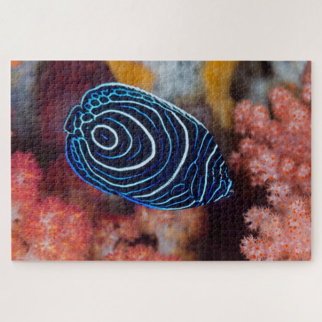 Close-up of Emperor Angelfish Jigsaw Puzzle (Horizontal)