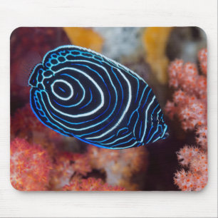 Close-up of Emperor Angelfish Mouse Mat