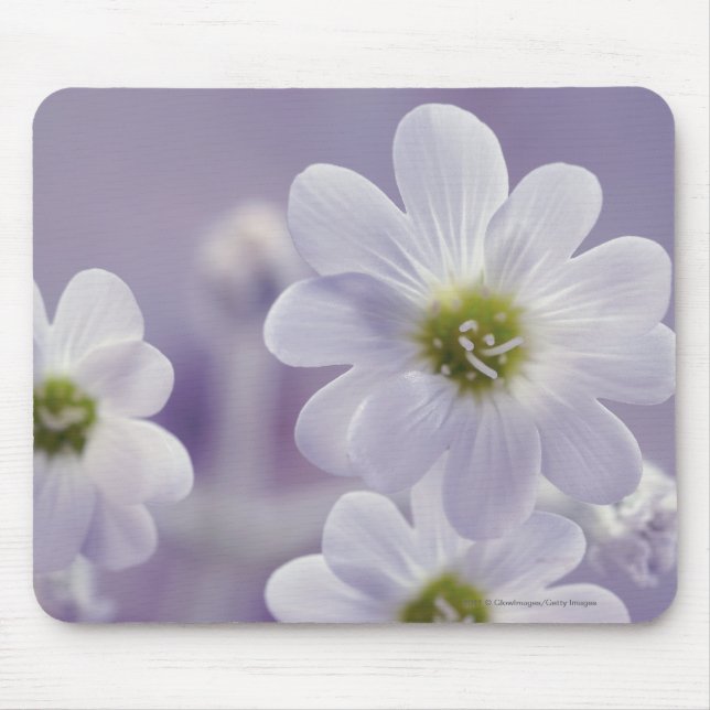 Close-up of flowers 2 mouse mat (Front)