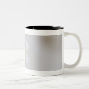 Close-up of flowers Two-Tone coffee mug