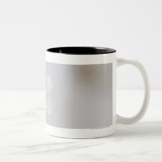 Close-up of flowers Two-Tone coffee mug
