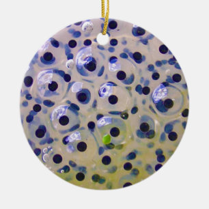 Close Up of Frogspawn Eggs Soon To Be Tadpoles Ceramic Tree Decoration