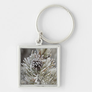 Close-up of frozen pine cone, Yellowstone Key Ring