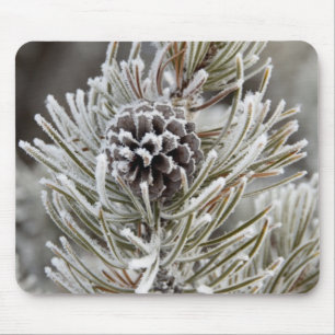 Close-up of frozen pine cone, Yellowstone Mouse Mat