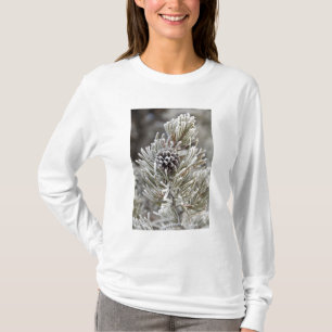 Close-up of frozen pine cone, Yellowstone T-Shirt